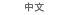中文